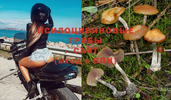 спиды Верхний Тагил