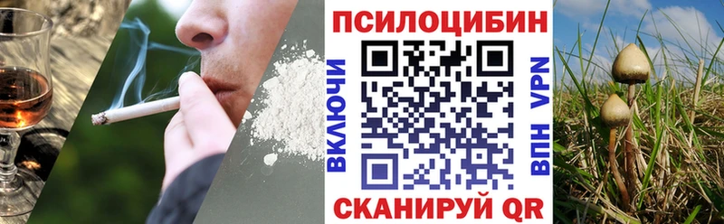 Купить  Бавлы  Псилоцибиновые грибы MAGIC MUSHROOMS 
